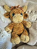 Highland Cow