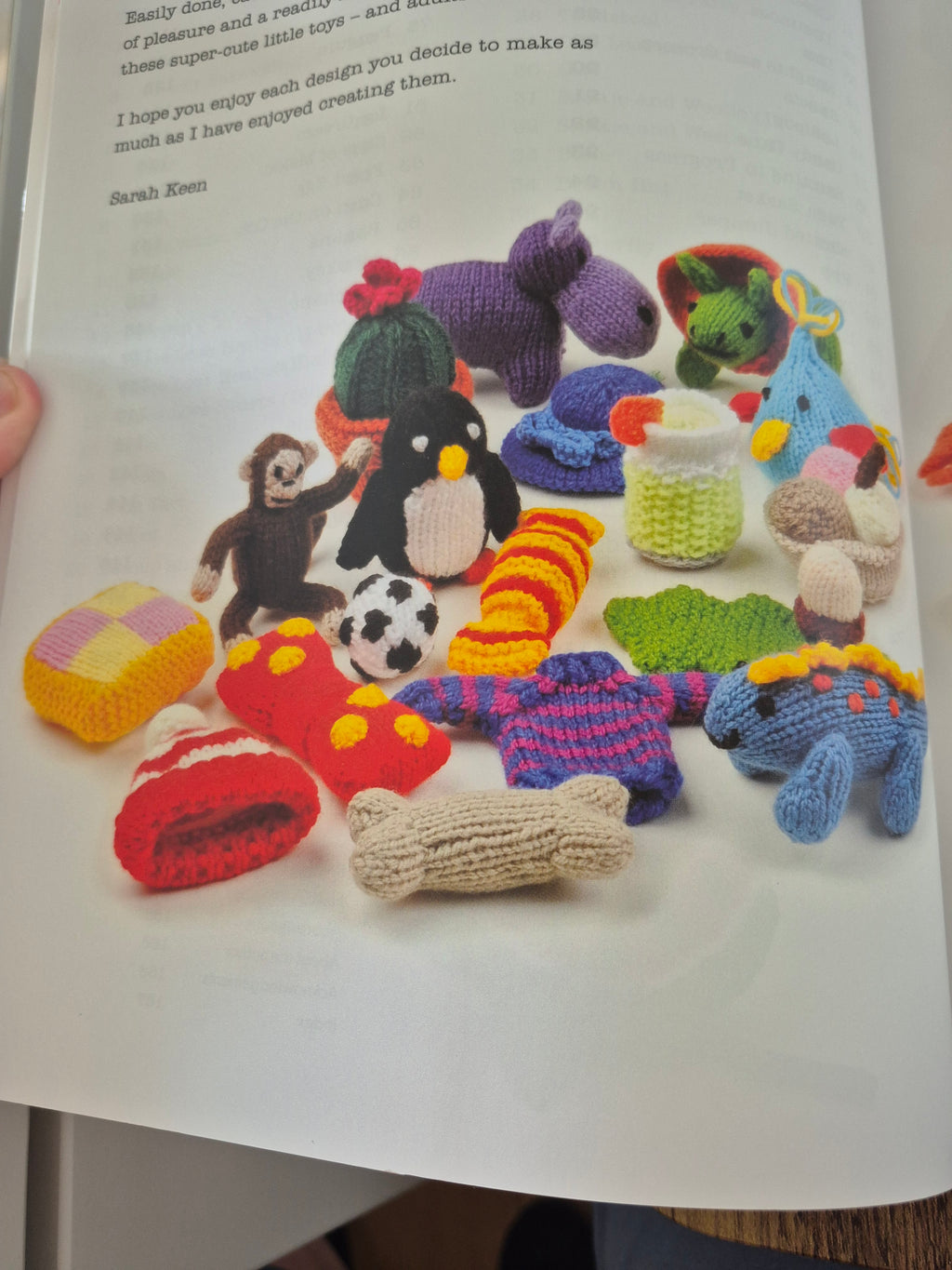 100 Little Knitted Projects